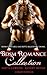BDSM Romance Collection (BD...