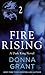 Fire Rising: Part 2 (Dark Kings)