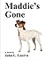 Maddie's Gone by John L. Guerra