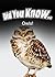 Owls (Did You Know)
