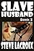 Slave Husband Book 3