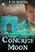 CONCRETE MOON by F.H BOOTH