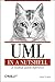UML in a Nutshell