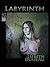 Labyrinth: An Erotic BDSM Novel
