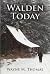 WALDEN TODAY: How To Change What You Do Into What You'd Rather Be Doing