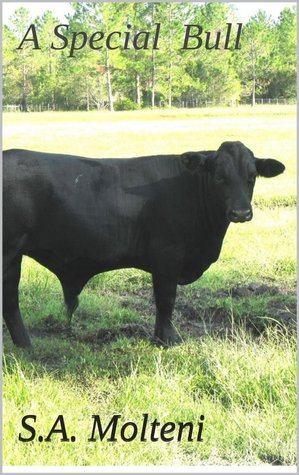 A Special Bull