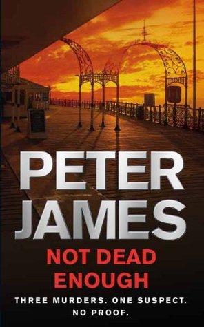 Not Dead Enough: A Roy Grace Novel 3