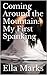 Coming Around the Mountain: My First Spanking