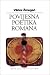 Povijesna poetika romana