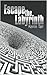 Escape the Labyrinth by Kerrin Tarr