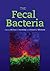 Fecal Bacteria