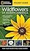 National Geographic Pocket Guide to Wildflowers of North America