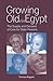 Growing Old in Egypt: The Supply and Demand of Care for Older Persons