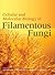 Cellular and Molecular Biology of Filamentous Fungi