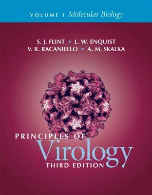 Principles of Virology, Volume I: Molecular Biology (Paperback)