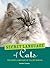 The Secret Language of Cats Book