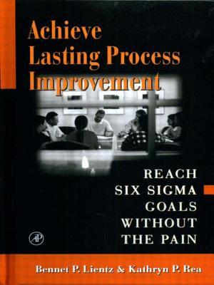 Achieve Lasting Process Improvement: Reach Six Sigma Goals without the Pain