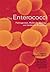 The Enterococci: Pathogenesis, Molecular Biology, and Antibiotic Resistance