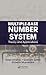 Multiple-Base Number System: Theory and Applications (Circuits and Electrical Engineering)