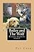 Bailey and The Wolf: A Bail...