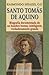 Santo Tomás de Aquino: Biografía documentada de un hombre bueno, inteligente, verdaderamente grande (Spanish Edition)
