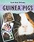 Guinea Pigs by Janice Biniok