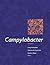 Campylobacter