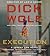 The Execution (Jeremy Fisk Series, book 2) (Jeremy Fisk Novels)