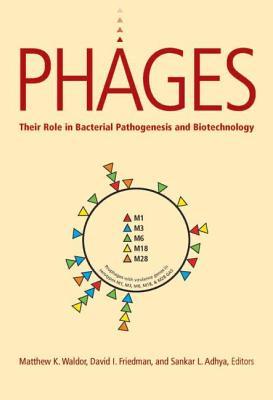 Phages: Their Role in Pathogen and Biotechnology (Hardcover)