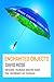 Enchanted Objects by David     Rose