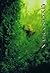 Verandah Literary Journal (...