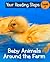 Baby Animals Around the Farm (Your Reading Steps, Level 2)