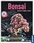 Bonsai Gestalten, pflanzen, pflegen