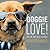 Doggie Love! Why we love dogs so much.