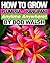 How To Grow Plumeria - Fran...
