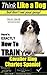 Cavalier King Charles Spani...