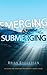 Emerging or Submerging: Exp...