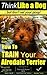 Airedale Terrier, Airedale Terrier AAA AKC | Think Like a Dog~But Don’t Eat Your Poop! | Airedale Terrier Breed Expert Training |: Here's EXACTLY How To ... Terrier. Airedale Terrier Training, Book 1)