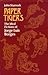 Paper Tigers: The Ideal Fictions of Jorge Luis Borges
