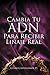 Cambia Tu ADN Para Recibir Linaje Real (Spanish Edition)