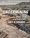 Undermining: A Wi...