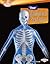 Your Skeletal System (Searc...