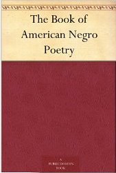 The Book of American Negro Poetry (Kindle Edition)