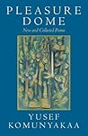 Pleasure Dome: Ne...