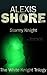 Stormy Knight (The White Knight Trilogy #2)