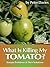 What Is Killing My Tomato?:...