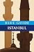 Blue Guide Istanbul: Sixth Edition (Travel Series)