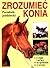 Zrozumieć konia. Poradnik jeździecki