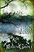 Fear No Evil (The Evil Series Book 2)