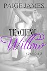 Teaching Willow: ...